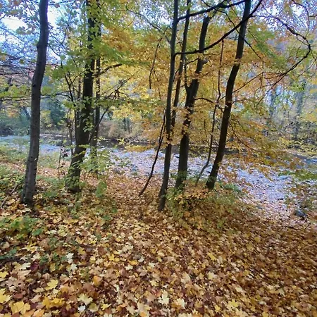 Luxurioese In Wienerwald Residenz アパート
