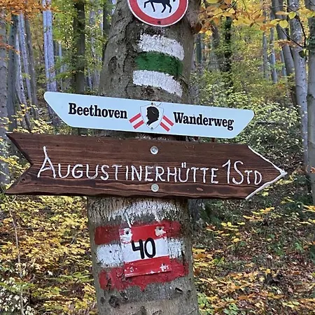 Luxurioese In Wienerwald Residenz アパート バーデン